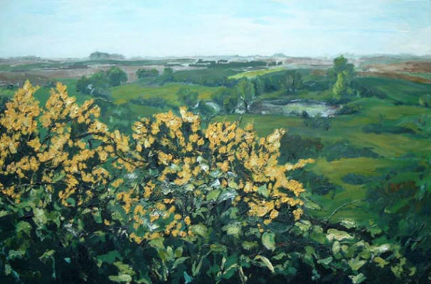 Acryl op paneel
